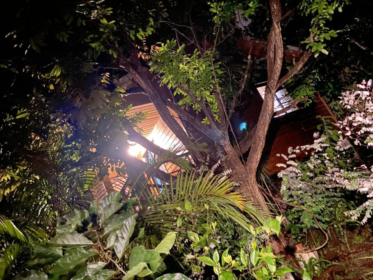 Chalet d'une chambre avec jardin amenage a Le Tampon Extérieur photo