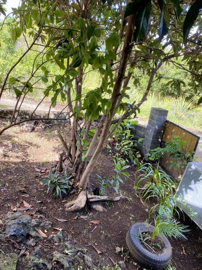 Chalet d'une chambre avec jardin amenage a Le Tampon Extérieur photo